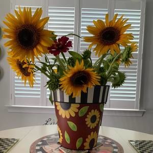 Meet your Posher, Donna